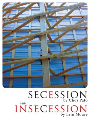 cover image of Secession/Insecession